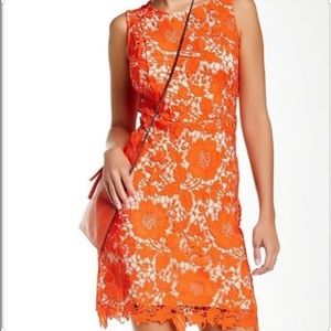 ECI New York Orange Eyelet Dress size 8 NWT